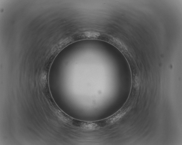 X0000085320321200703161512