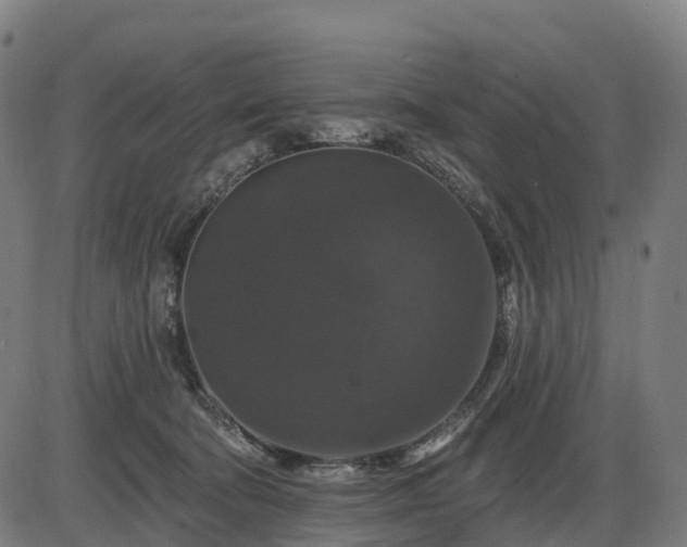X0000085320322200703161512