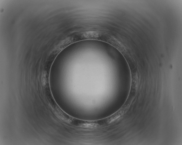 X0000085320323200703161512