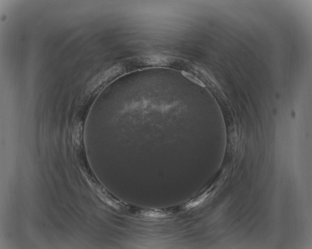 X0000085320325200703161512
