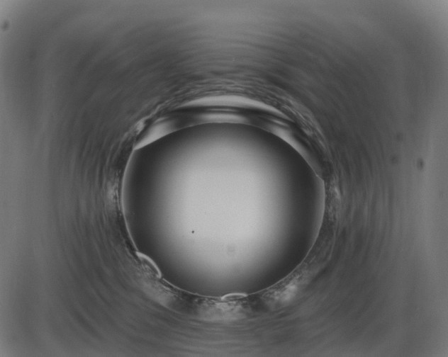 X0000085320329200703161512