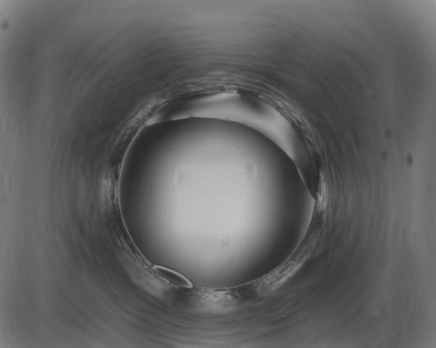 X0000085320333200703161512