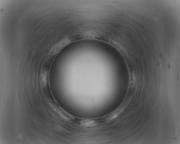 X0000085320334200703161512