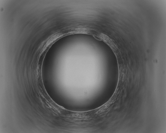 X0000085320338200703161511