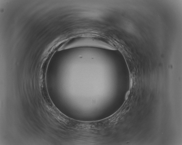 X0000085320339200703161511