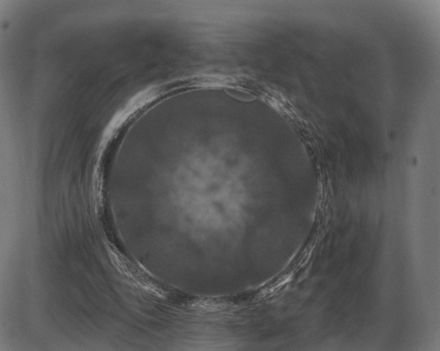 X0000085320343200703161511
