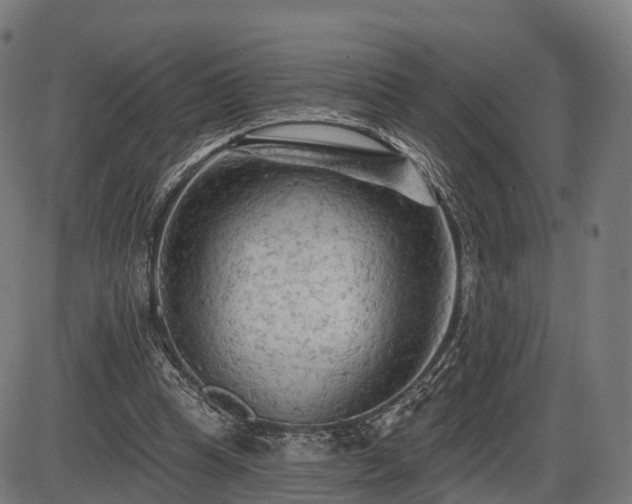 X0000085320345200703161511