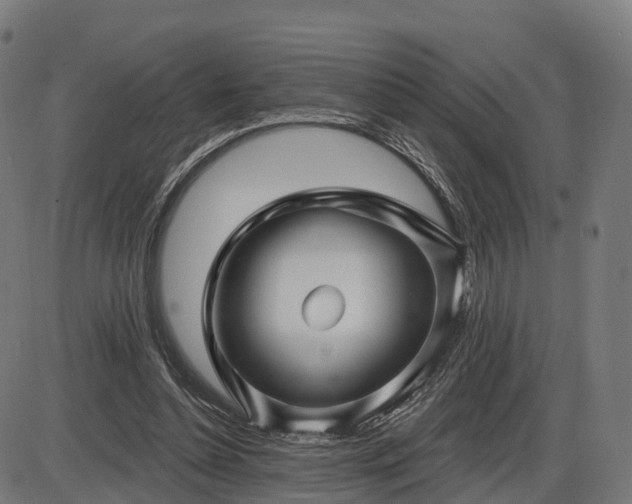X0000085320348200703161511