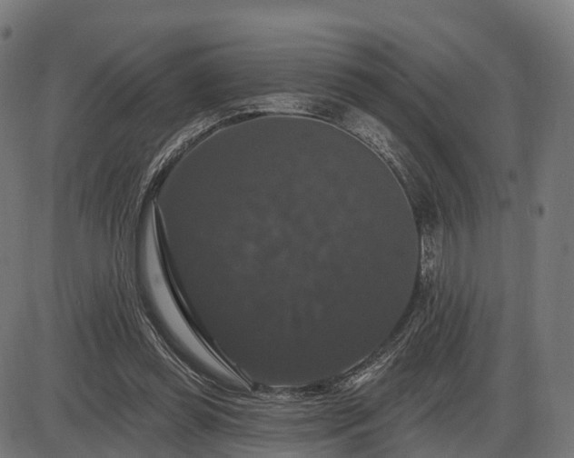 X0000085320349200703161511