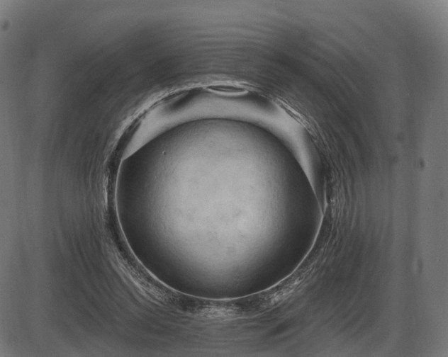 X0000085320350200703161511