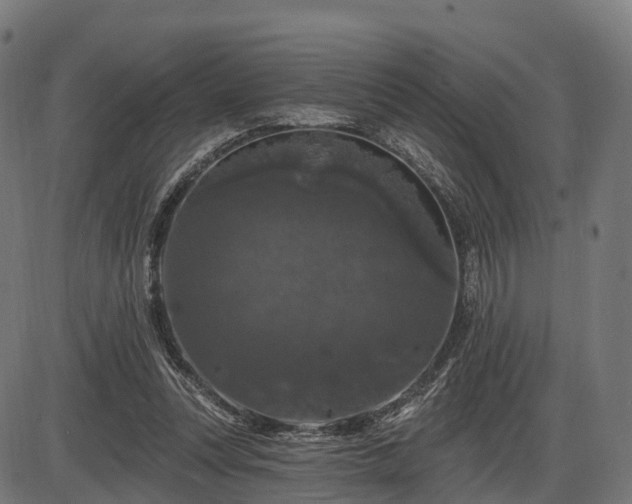 X0000085320351200703161511