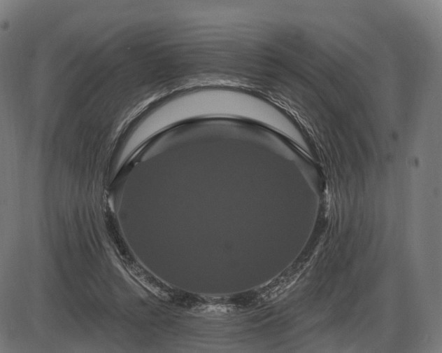 X0000085320352200703161511