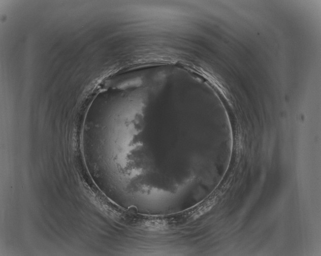 X0000085320353200703161511