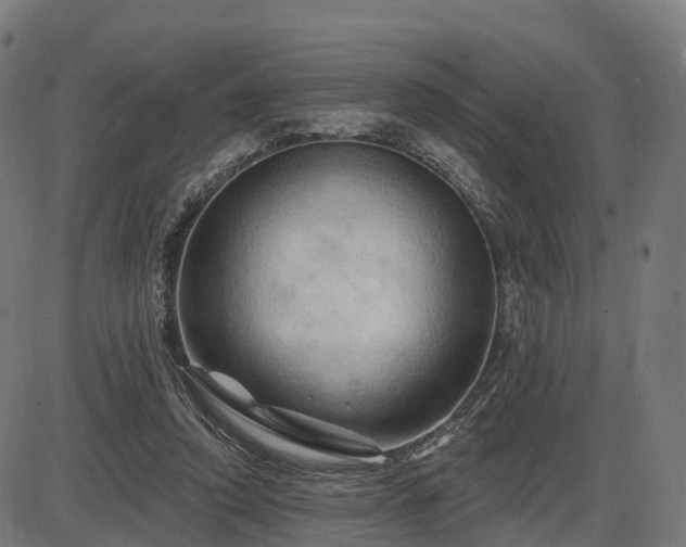 X0000085320354200703161511
