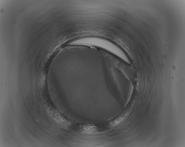 X0000085320355200703161511