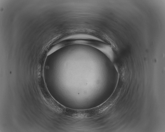 X0000085320356200703161511