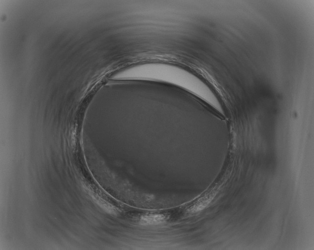 X0000085320357200703161511