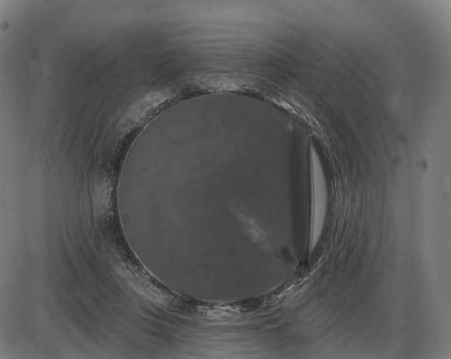 X0000085320359200703161511