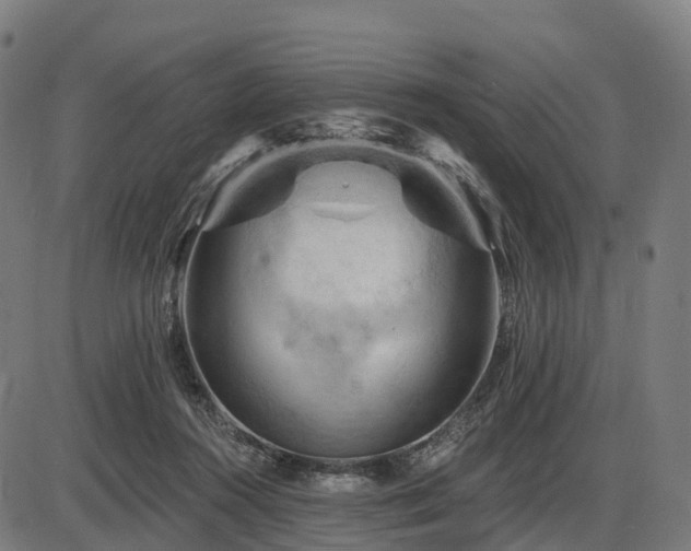 X0000085320360200703161511