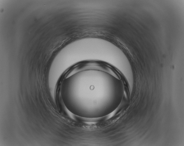 X0000085320362200703161511
