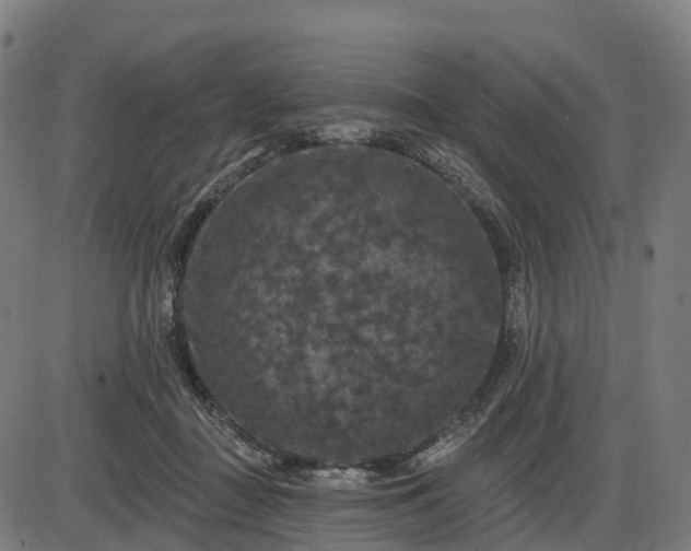 X0000085320363200703161511