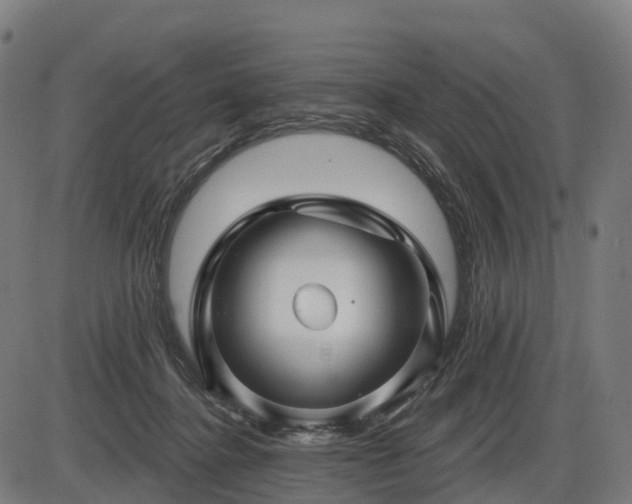 X0000085320364200703161511