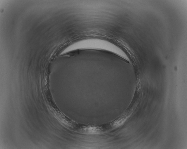 X0000085320365200703161511