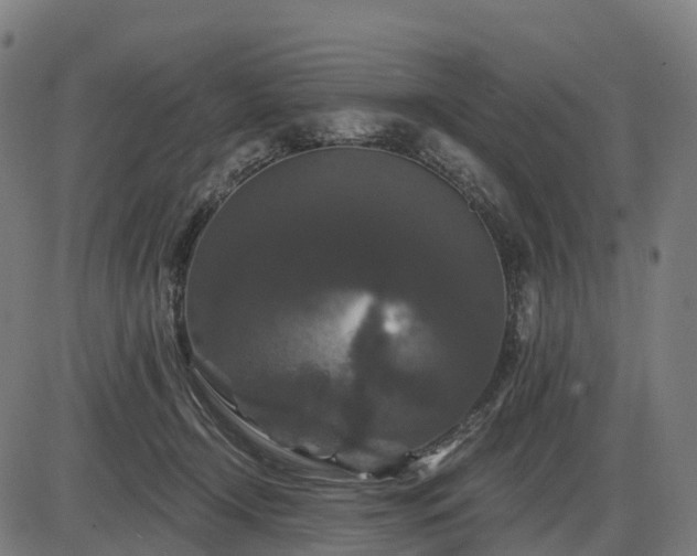 X0000085320366200703161512