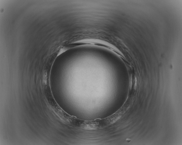X0000085320368200703161512