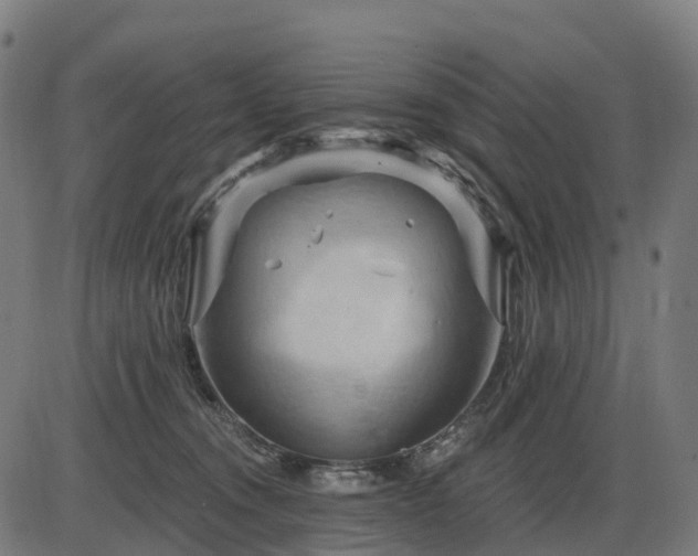 X0000085320372200703161512