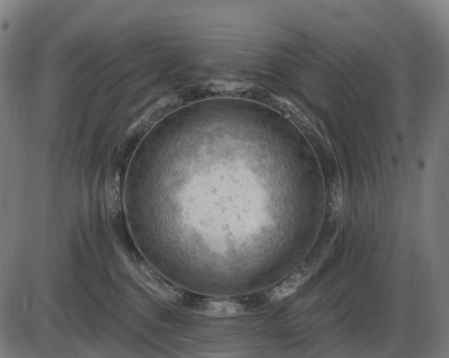 X0000085320376200703161512