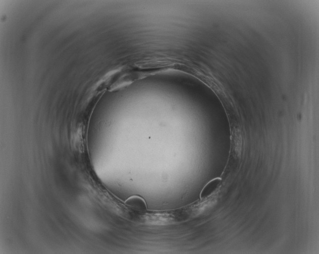 X0000085320378200703161512