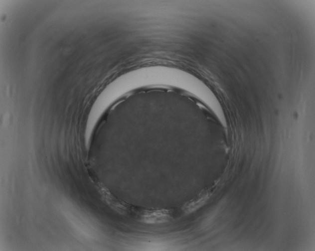 X0000085320382200703161512