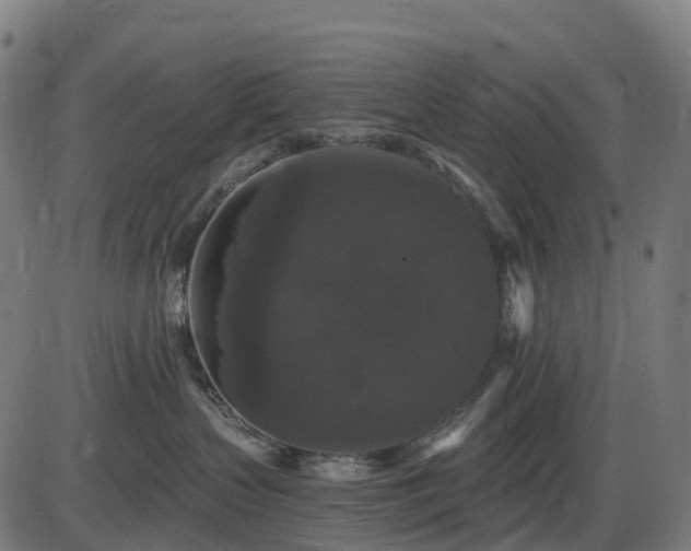 X0000085320383200703161512