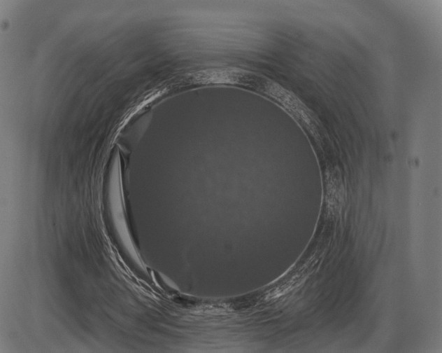 X0000085320386200703161511