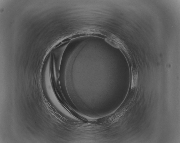 X0000085320387200703161511
