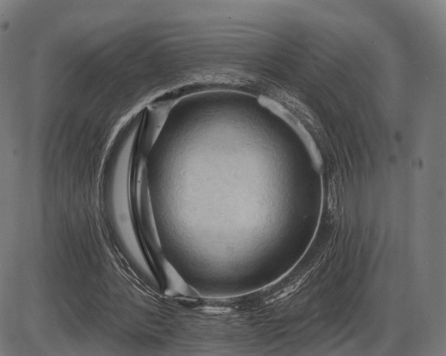 X0000085320388200703161511