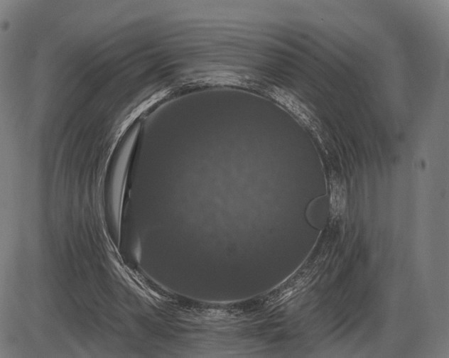 X0000085320390200703161511