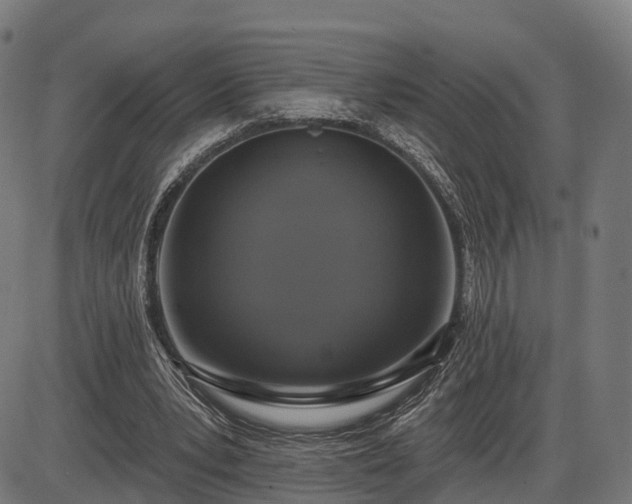 X0000085320391200703161511