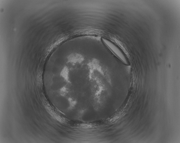 X0000085320394200703161511