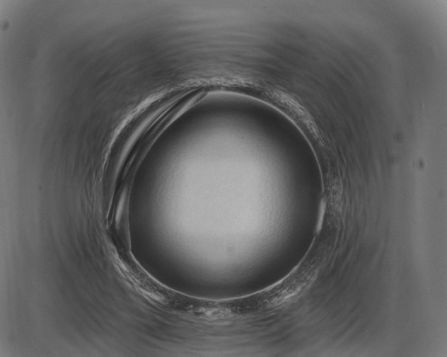 X0000085320395200703161511