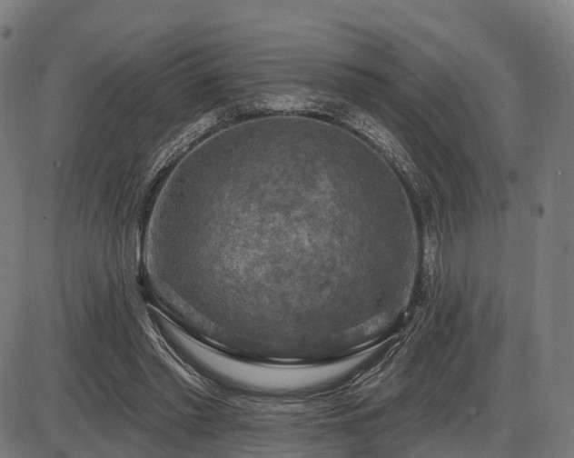 X0000085320397200703161511