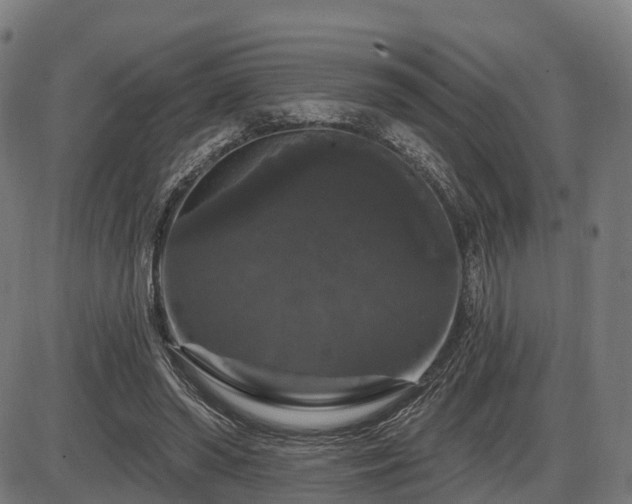 X0000085320398200703161511