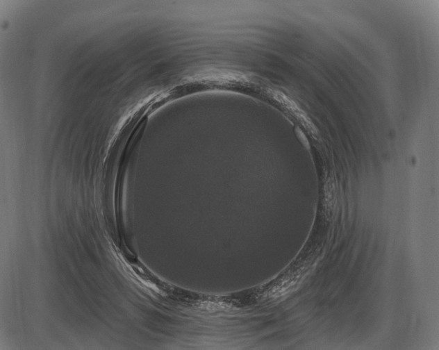 X0000085320399200703161511
