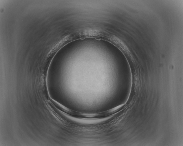X0000085320401200703161511
