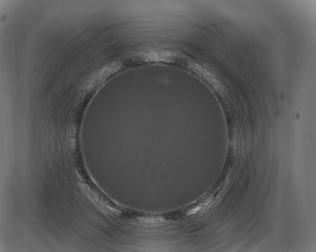 X0000085320402200703161511