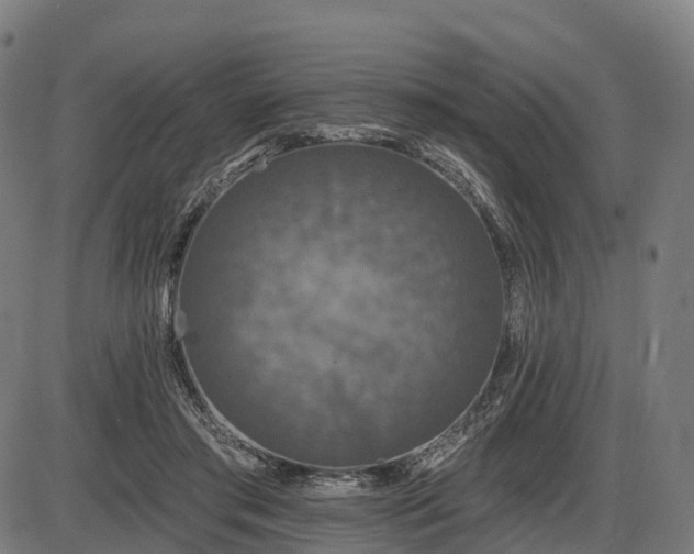 X0000085320405200703161511