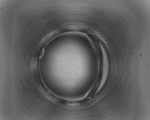 X0000085320407200703161511