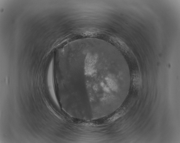 X0000085320408200703161511