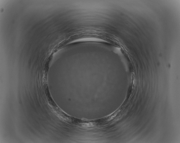 X0000085320411200703161511